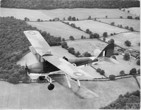 Click to open Click to open