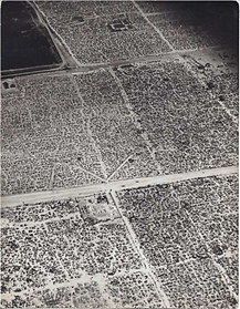 John_Herbert_Crotch_7