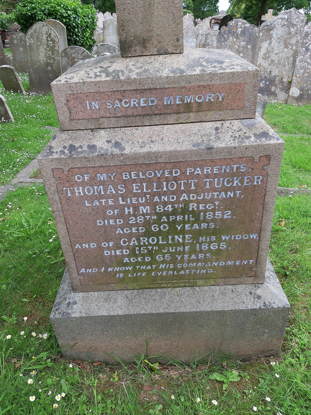 Thomas_Elliott_Tucker_Jersey